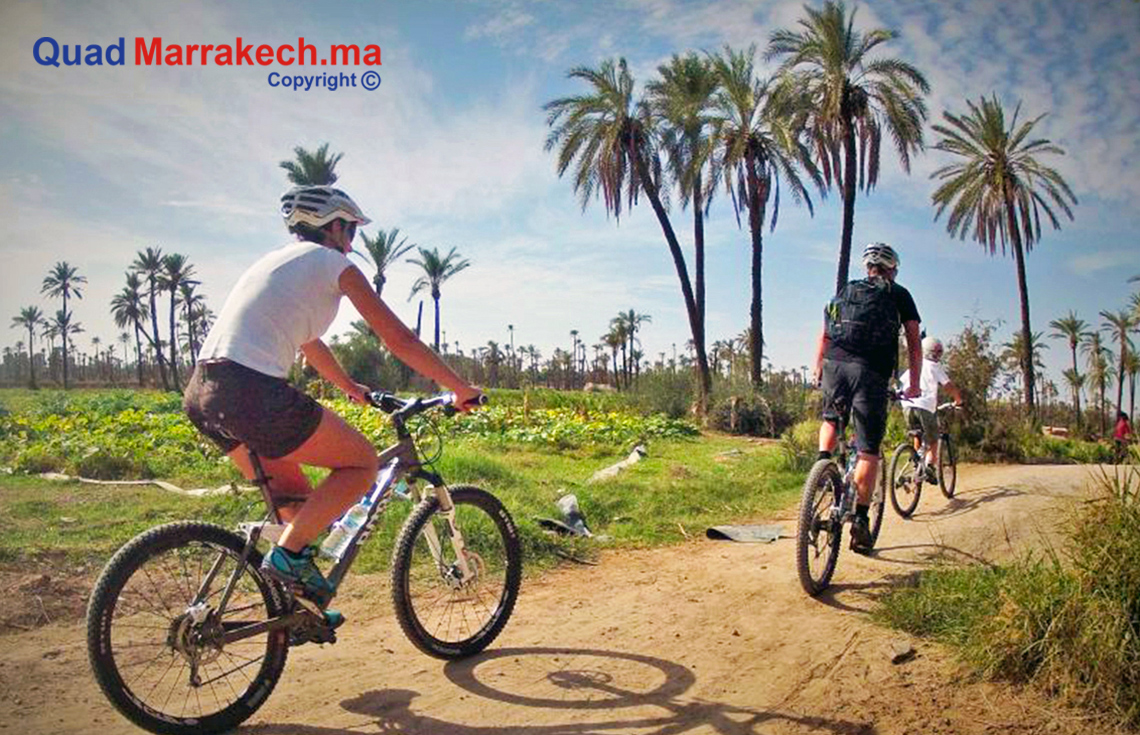 Balade en Quad Marrakech , Quad Marrakech , Balade en Quad, Chameau Marrakech, Dromadaire Marrakech, Quad et Chameau Marrakech , Quad et Dromadaire Marrakech , Buggy Marrakech, Quad tour Marrakech, Quad Palmeraie Marrakech, Quad Desert Marrakech, Dromadaire Desert Marrakech , Dromadaire Palmeraie Marrakech, Quad biking Desert Marrakech , Quad Biking Marrakech , Buggy ride Marrakech , Activités à Marrakech, Quad Pas cher Marrakech, Promotion Quad Marrakech, Quoi faire à Marrakech, Marrakech